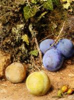 William Henry Hunt - Still Life With Greengages And Plums On A Mossy Bank
